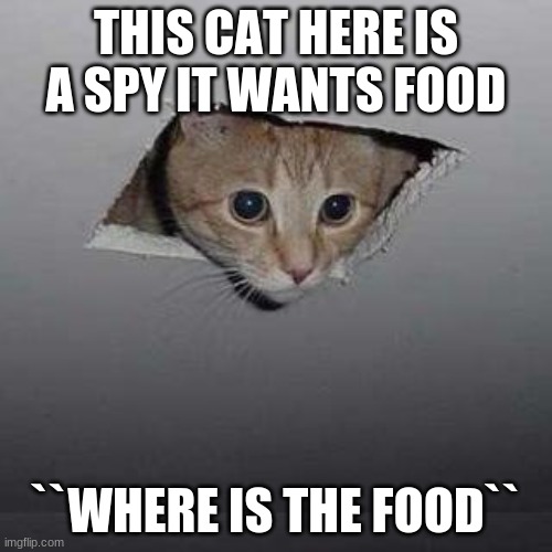 Da Food | THIS CAT HERE IS A SPY IT WANTS FOOD; ``WHERE IS THE FOOD`` | image tagged in memes,ceiling cat | made w/ Imgflip meme maker