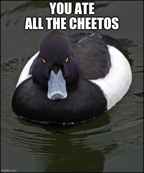 Angry duck | YOU ATE ALL THE CHEETOS | image tagged in angry duck | made w/ Imgflip meme maker