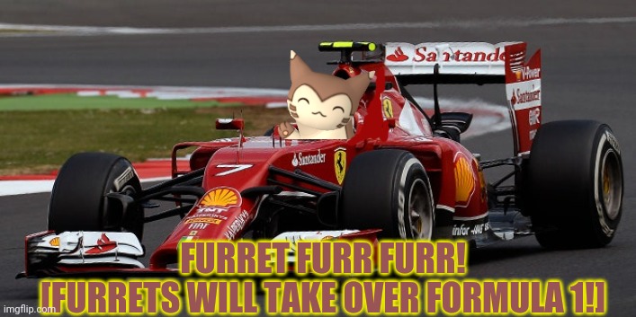 The furrets will conquer racing next! | FURRET FURR FURR!
[FURRETS WILL TAKE OVER FORMULA 1!] | image tagged in furret,pokemon,anime,more furret memes | made w/ Imgflip meme maker