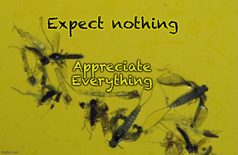 Attitude | Expect nothing; Appreciate 
Everything | image tagged in expectations | made w/ Imgflip meme maker