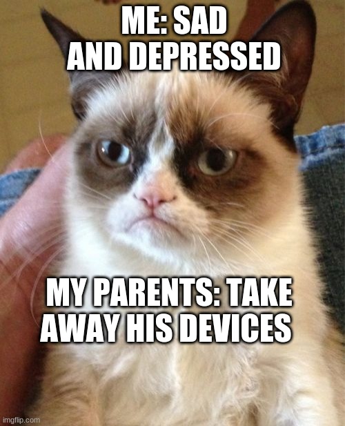 Bruh | ME: SAD AND DEPRESSED; MY PARENTS: TAKE AWAY HIS DEVICES | image tagged in memes,grumpy cat | made w/ Imgflip meme maker