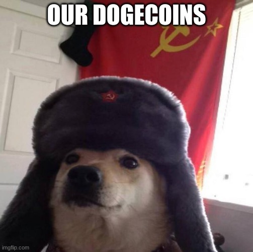 OUR Dogecoins | OUR DOGECOINS | image tagged in russian doge,dogecoin,funny,barney will eat all of your delectable biscuits,watch out | made w/ Imgflip meme maker