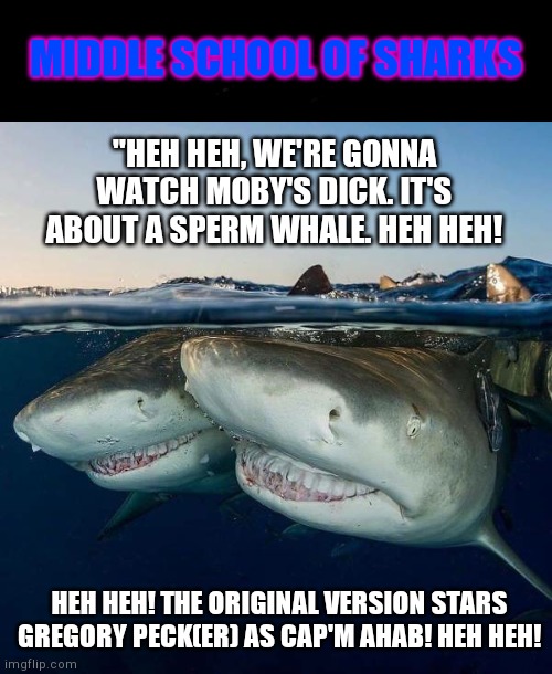 Beavis and Butthead of the ocean | MIDDLE SCHOOL OF SHARKS; "HEH HEH, WE'RE GONNA WATCH MOBY'S DICK. IT'S ABOUT A SPERM WHALE. HEH HEH! HEH HEH! THE ORIGINAL VERSION STARS GREGORY PECK(ER) AS CAP'M AHAB! HEH HEH! | image tagged in sharks laughing | made w/ Imgflip meme maker