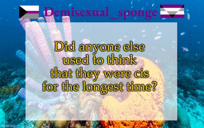 Idk what to put here | Did anyone else used to think that they were cis for the longest time? | image tagged in demisexual_sponge | made w/ Imgflip meme maker