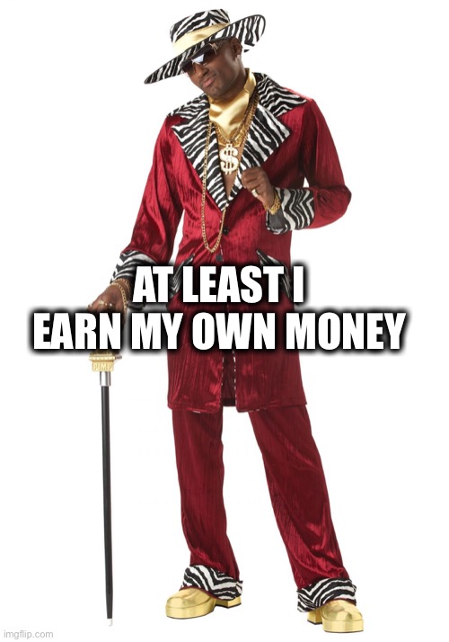 Pimp | AT LEAST I EARN MY OWN MONEY | image tagged in pimp | made w/ Imgflip meme maker