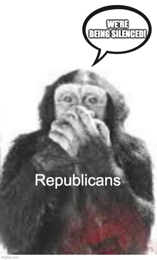 White people can't talk! | WE'RE BEING SILENCED! Republicans | image tagged in speak no evil | made w/ Imgflip meme maker