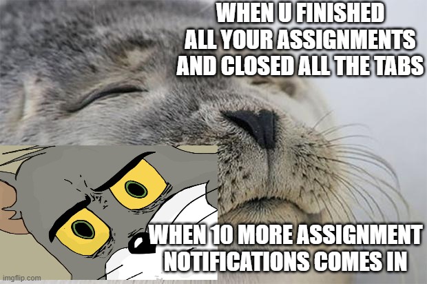 geez i just finished | WHEN U FINISHED ALL YOUR ASSIGNMENTS AND CLOSED ALL THE TABS; WHEN 10 MORE ASSIGNMENT NOTIFICATIONS COMES IN | image tagged in memes,satisfied seal | made w/ Imgflip meme maker
