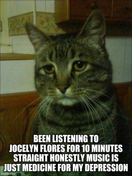 Hehehehe | BEEN LISTENING TO JOCELYN FLORES FOR 10 MINUTES STRAIGHT HONESTLY MUSIC IS JUST MEDICINE FOR MY DEPRESSION | image tagged in memes,depressed cat | made w/ Imgflip meme maker