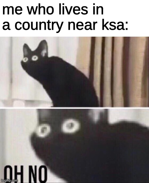 Oh no cat | me who lives in a country near ksa: | image tagged in oh no cat | made w/ Imgflip meme maker