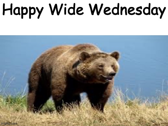  Happy Wide Wednesday | image tagged in wide | made w/ Imgflip meme maker