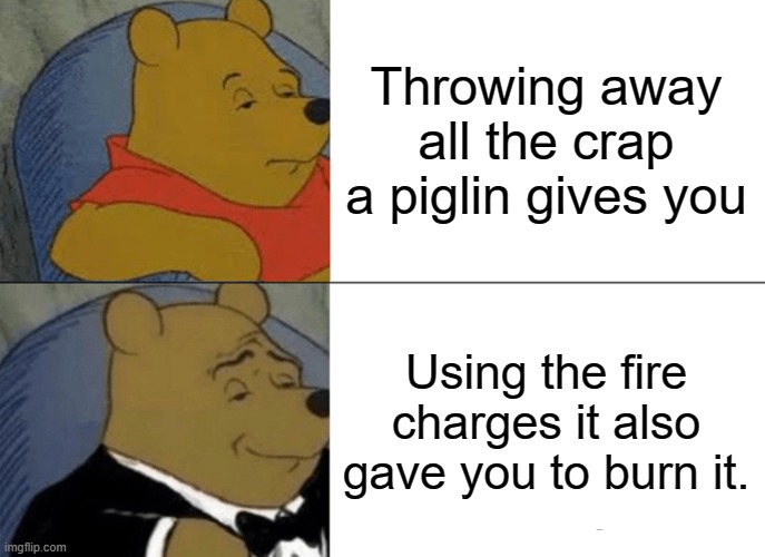 BIG BRAIN | Throwing away all the crap a piglin gives you; Using the fire charges it also gave you to burn it. | image tagged in memes,tuxedo winnie the pooh | made w/ Imgflip meme maker