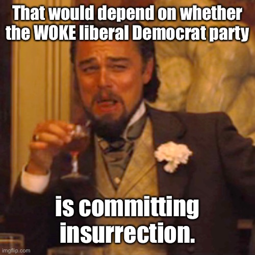 Laughing Leo Meme | That would depend on whether the WOKE liberal Democrat party is committing insurrection. | image tagged in memes,laughing leo | made w/ Imgflip meme maker