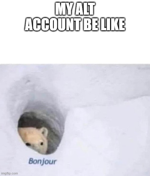 Bonjour | MY ALT ACCOUNT BE LIKE | image tagged in bonjour | made w/ Imgflip meme maker