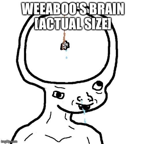 Dumb wojak | WEEABOO'S BRAIN
[ACTUAL SIZE] | image tagged in dumb wojak | made w/ Imgflip meme maker