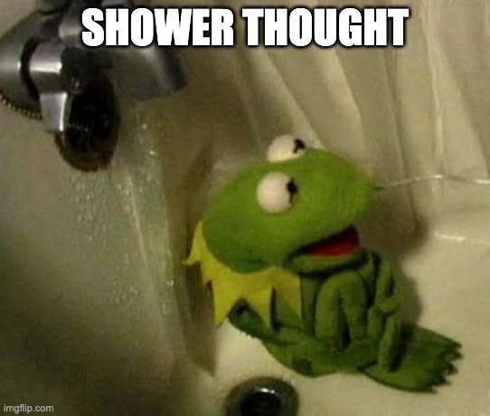 Kermit in Shower meme | SHOWER THOUGHT | image tagged in kermit in shower meme | made w/ Imgflip meme maker