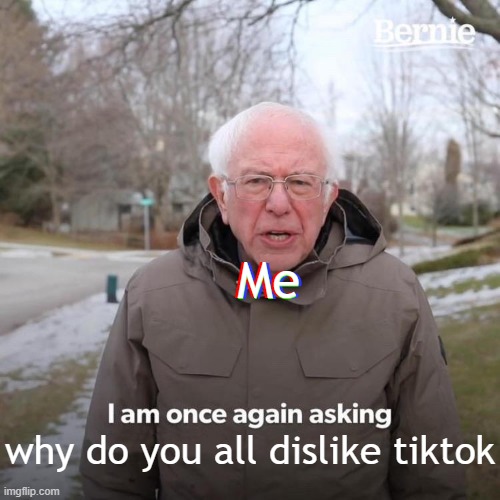 guys please listen- |  Me; Me; Me; Me; why do you all dislike tiktok | image tagged in memes,bernie i am once again asking for your support | made w/ Imgflip meme maker