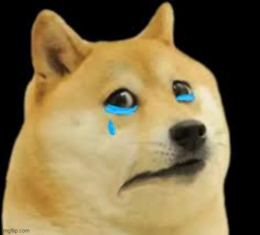 Sad Doggo | image tagged in sad doggo | made w/ Imgflip meme maker