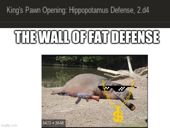 This is a meme I made because I am bored | THE WALL OF FAT DEFENSE | image tagged in hippopotamus,chess,defense,world war 3,best | made w/ Imgflip meme maker