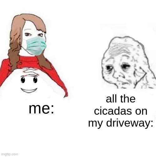true | all the cicadas on my driveway:; me: | image tagged in yes honey | made w/ Imgflip meme maker