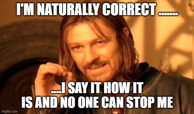 One Does Not Simply Meme | I'M NATURALLY CORRECT ....... ....I SAY IT HOW IT IS AND NO ONE CAN STOP ME | image tagged in memes,one does not simply | made w/ Imgflip meme maker