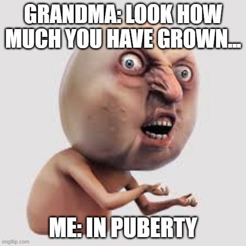puberty meme | GRANDMA: LOOK HOW MUCH YOU HAVE GROWN... ME: IN PUBERTY | image tagged in funny | made w/ Imgflip meme maker
