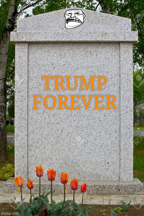 blank gravestone | TRUMP FOREVER | image tagged in blank gravestone | made w/ Imgflip meme maker