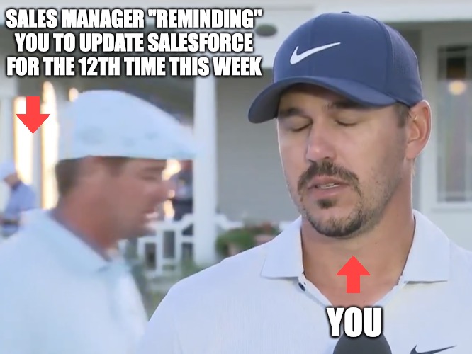 Sales Managers | SALES MANAGER "REMINDING"
YOU TO UPDATE SALESFORCE
FOR THE 12TH TIME THIS WEEK; YOU | image tagged in sales,management,business | made w/ Imgflip meme maker