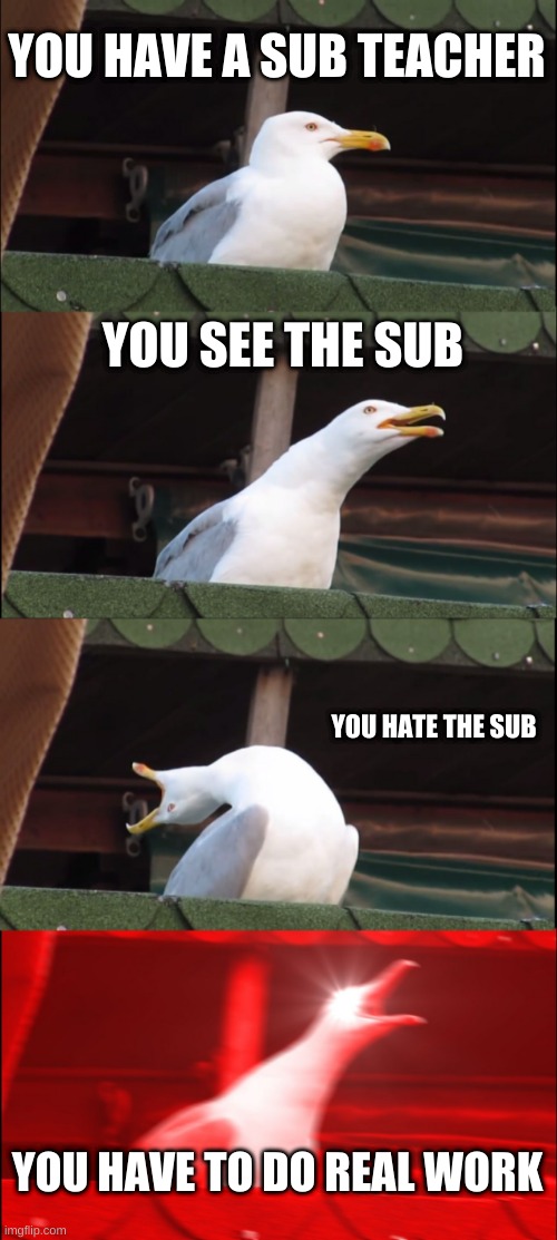 Inhaling Seagull Meme | YOU HAVE A SUB TEACHER; YOU SEE THE SUB; YOU HATE THE SUB; YOU HAVE TO DO REAL WORK | image tagged in memes,inhaling seagull | made w/ Imgflip meme maker