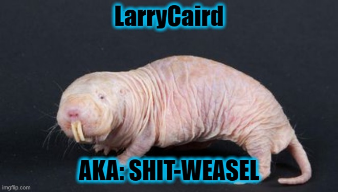 LarryCaird AKA: SHIT-WEASEL | made w/ Imgflip meme maker