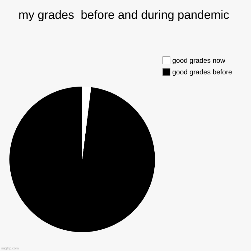 Who else can relate | my grades  before and during pandemic | good grades before, good grades now | image tagged in charts,pie charts,school,grades | made w/ Imgflip chart maker