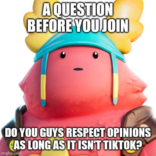 :D | A QUESTION BEFORE YOU JOIN; DO YOU GUYS RESPECT OPINIONS AS LONG AS IT ISN'T TIKTOK? | image tagged in guff | made w/ Imgflip meme maker