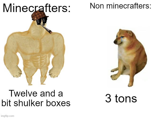 Buff Doge vs. Cheems | Minecrafters:; Non minecrafters:; Twelve and a bit shulker boxes; 3 tons | image tagged in memes,buff doge vs cheems | made w/ Imgflip meme maker