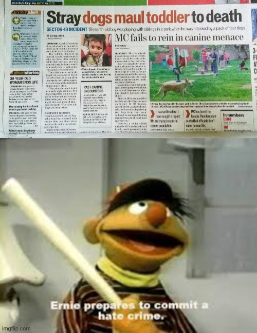 rise and shine, time for hate crimes | image tagged in ernie prepares to commit a hate crime | made w/ Imgflip meme maker