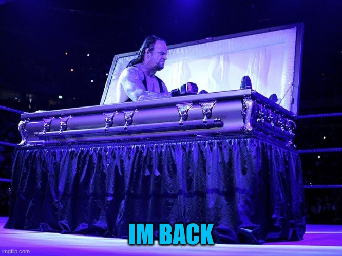Undertaker Coffin | IM BACK | image tagged in undertaker coffin | made w/ Imgflip meme maker