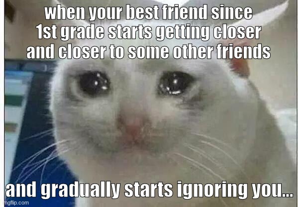 when your bestfriend starts ignoring you | when your best friend since 1st grade starts getting closer and closer to some other friends; and gradually starts ignoring you... | image tagged in crying cat,friends | made w/ Imgflip meme maker