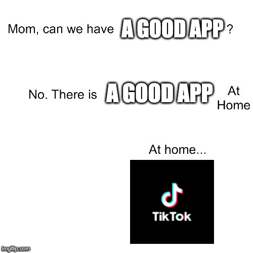 tiktok sucks | A GOOD APP; A GOOD APP | image tagged in mom can we have | made w/ Imgflip meme maker