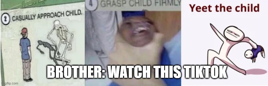 Casually Approach Child, Grasp Child Firmly, Yeet the Child | BROTHER: WATCH THIS TIKTOK | image tagged in casually approach child grasp child firmly yeet the child | made w/ Imgflip meme maker