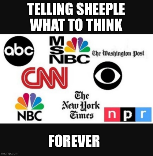 Media lies | TELLING SHEEPLE
WHAT TO THINK FOREVER | image tagged in media lies | made w/ Imgflip meme maker