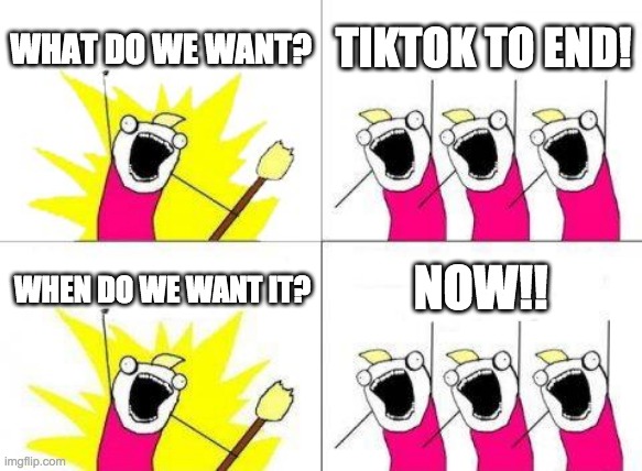 What Do We Want | WHAT DO WE WANT? TIKTOK TO END! NOW!! WHEN DO WE WANT IT? | image tagged in memes,what do we want | made w/ Imgflip meme maker