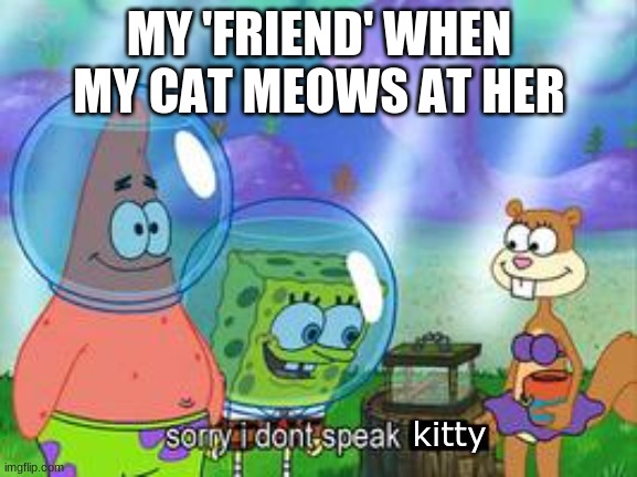 hi | MY 'FRIEND' WHEN MY CAT MEOWS AT HER; kitty | image tagged in sorry i don't speak ____ | made w/ Imgflip meme maker