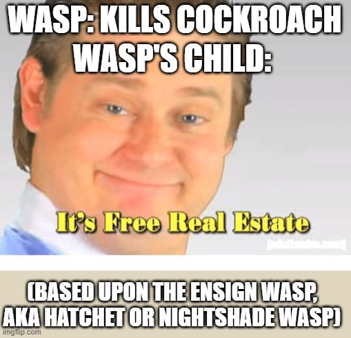 Hatchet Wasps | WASP: KILLS COCKROACH; WASP'S CHILD:; (BASED UPON THE ENSIGN WASP, AKA HATCHET OR NIGHTSHADE WASP) | image tagged in it's free real estate | made w/ Imgflip meme maker