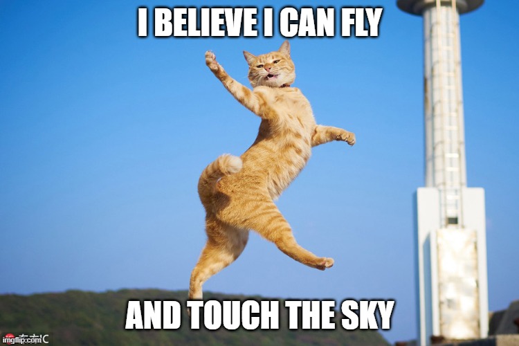 I BELIEVE I CAN FLY; AND TOUCH THE SKY | made w/ Imgflip meme maker