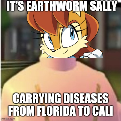 IT'S EARTHWORM SALLY CARRYING DISEASES FROM FLORIDA TO CALI | made w/ Imgflip meme maker