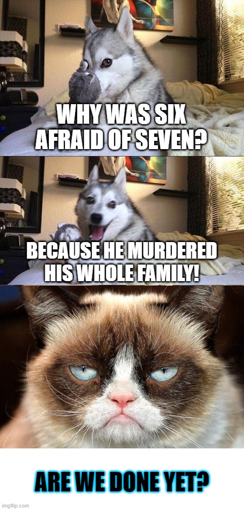 Bad Pun Dog | WHY WAS SIX AFRAID OF SEVEN? BECAUSE HE MURDERED HIS WHOLE FAMILY! ARE WE DONE YET? | image tagged in memes,bad pun dog | made w/ Imgflip meme maker