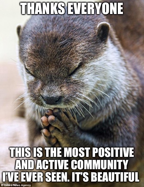 Let’s keep it this way | THANKS EVERYONE; THIS IS THE MOST POSITIVE AND ACTIVE COMMUNITY I’VE EVER SEEN. IT’S BEAUTIFUL | image tagged in thank you lord otter | made w/ Imgflip meme maker