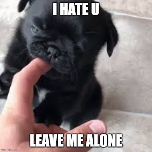 I HATE U; LEAVE ME ALONE | made w/ Imgflip meme maker