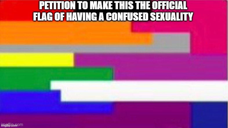 PETITION TO MAKE THIS THE OFFICIAL FLAG OF HAVING A CONFUSED SEXUALITY | made w/ Imgflip meme maker