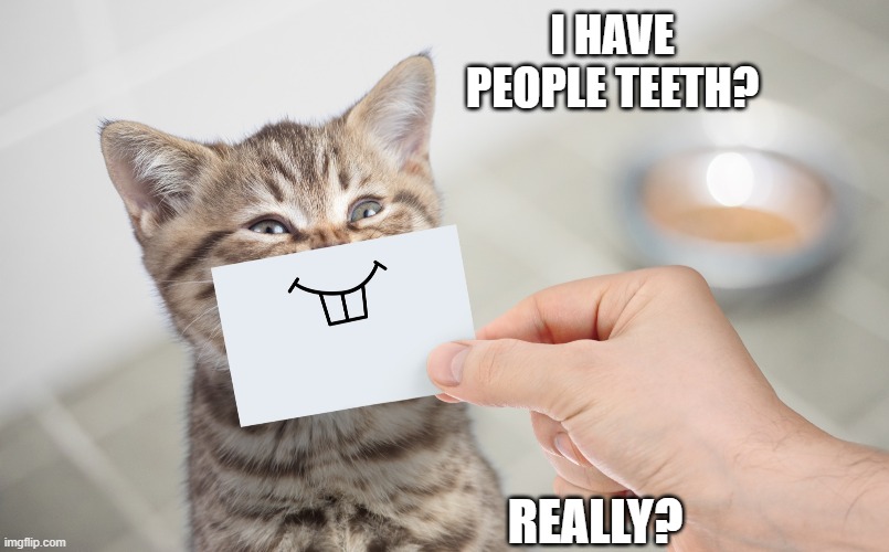 teef | I HAVE PEOPLE TEETH? REALLY? | image tagged in teeth | made w/ Imgflip meme maker