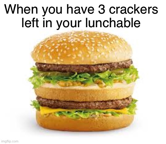 Big Mac | When you have 3 crackers left in your lunchable | image tagged in big mac | made w/ Imgflip meme maker