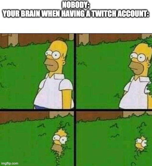 Homer Simpson in Bush - Large | NOBODY:
YOUR BRAIN WHEN HAVING A TWITCH ACCOUNT: | image tagged in homer simpson in bush - large | made w/ Imgflip meme maker